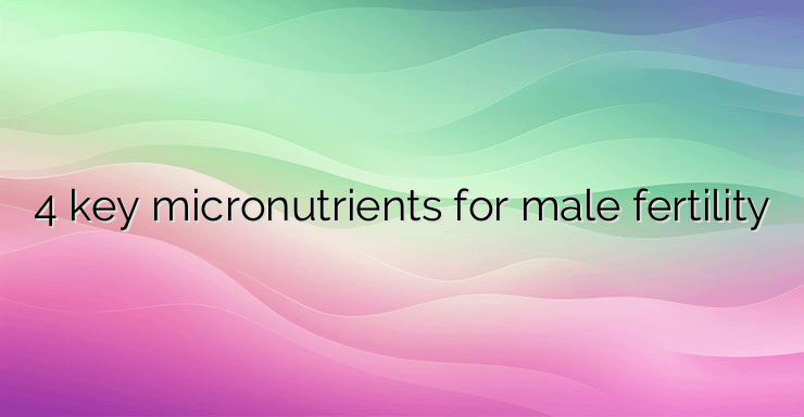 4 key micronutrients for male fertility