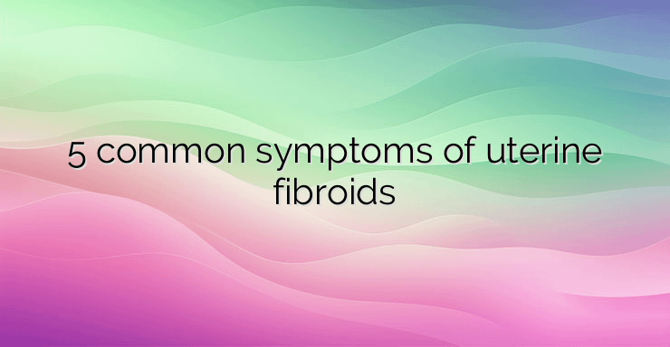 5 common symptoms of uterine fibroids