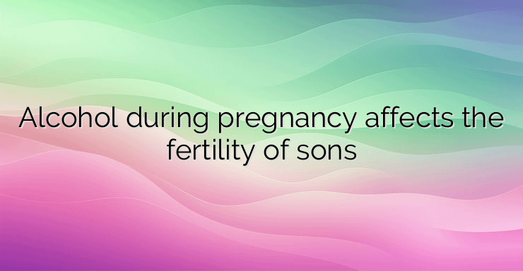 Alcohol during pregnancy affects the fertility of sons