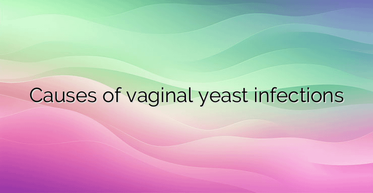 Causes of vaginal yeast infections