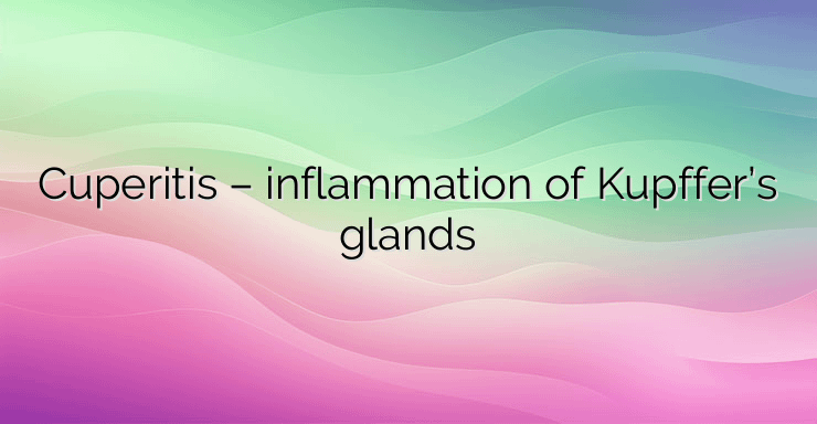 Cuperitis – inflammation of Kupffer’s glands