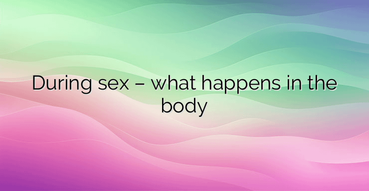 During sex – what happens in the body