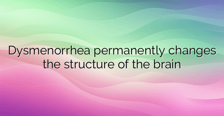 Dysmenorrhea permanently changes the structure of the brain