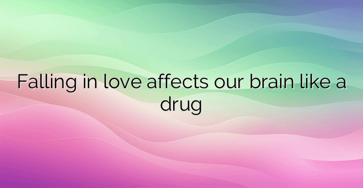 Falling in love affects our brain like a drug