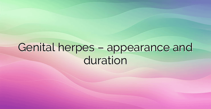 Genital herpes – appearance and duration