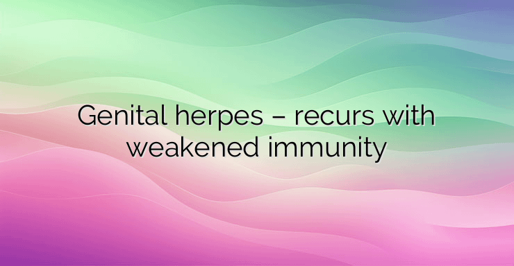 Genital herpes – recurs with weakened immunity