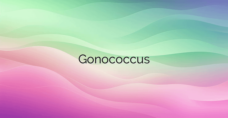 Gonococcus