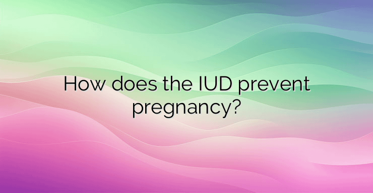 How does the IUD prevent pregnancy?