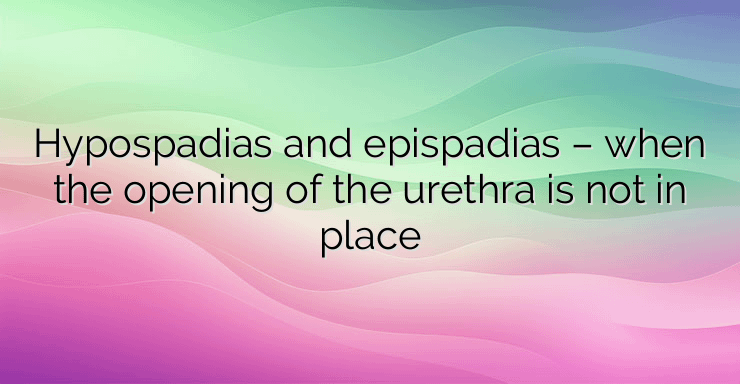 Hypospadias and epispadias – when the opening of the urethra is not in place