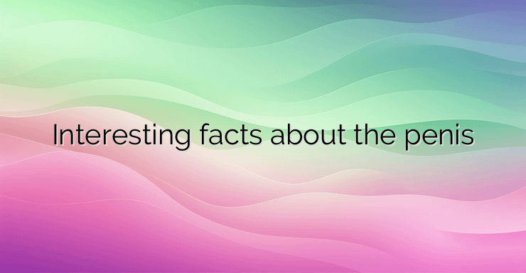 Interesting facts about the penis