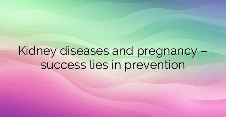 Kidney diseases and pregnancy – success lies in prevention