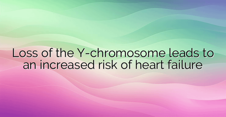 Loss of the Y-chromosome leads to an increased risk of heart failure