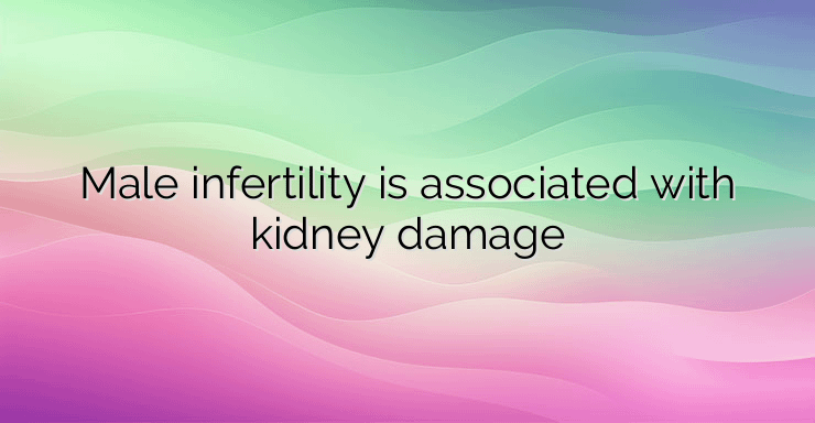 Male infertility is associated with kidney damage