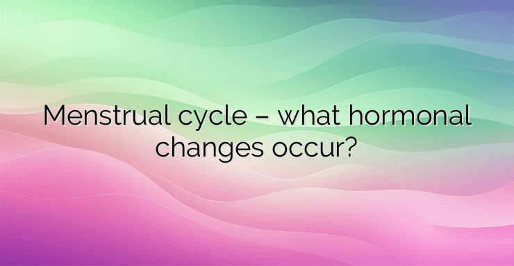 Menstrual cycle – what hormonal changes occur?