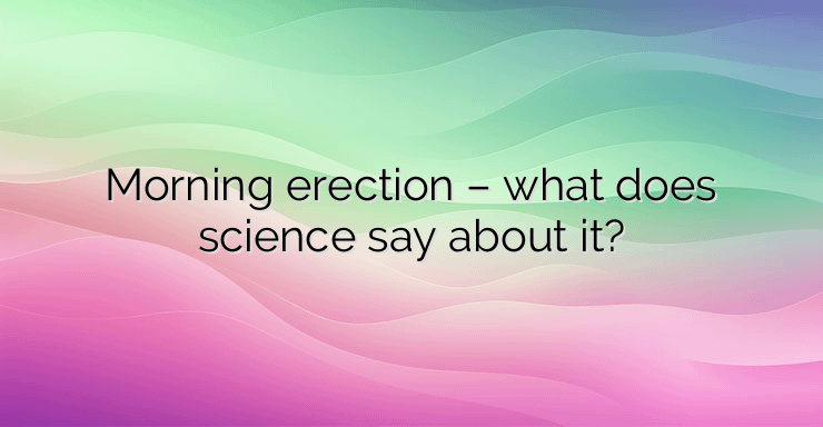 Morning erection – what does science say about it?