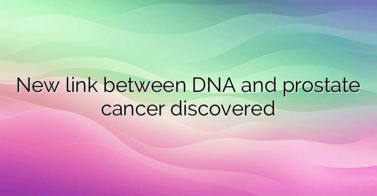 New link between DNA and prostate cancer discovered