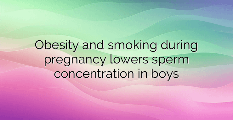 Obesity and smoking during pregnancy lowers sperm concentration in boys