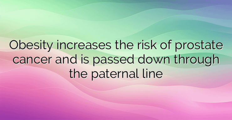 Obesity increases the risk of prostate cancer and is passed down through the paternal line