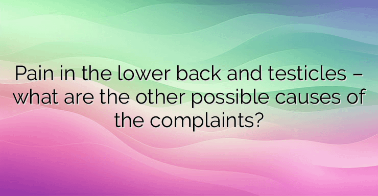 Pain in the lower back and testicles – what are the other possible causes of the complaints?