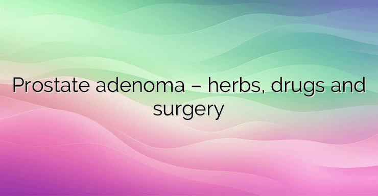 Prostate adenoma – herbs, drugs and surgery