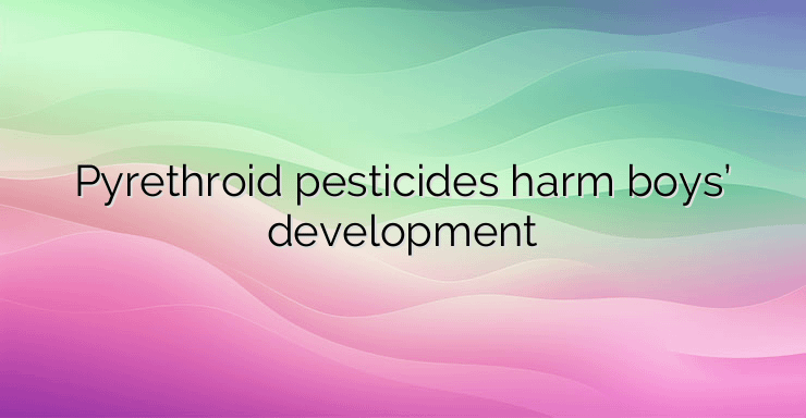 Pyrethroid pesticides harm boys’ development