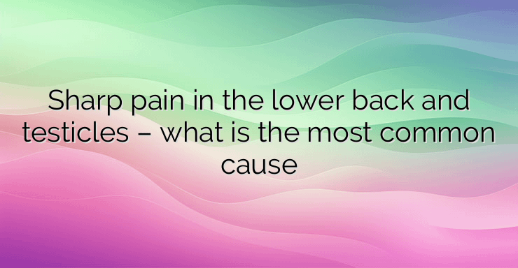 Sharp pain in the lower back and testicles – what is the most common cause