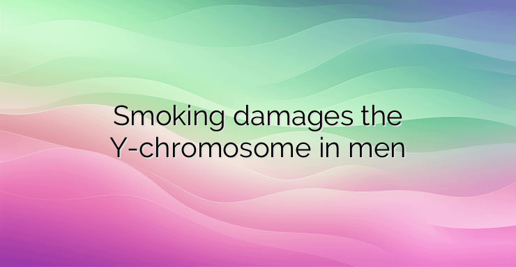 Smoking damages the Y-chromosome in men