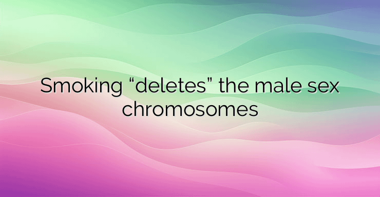 Smoking “deletes” the male sex chromosomes