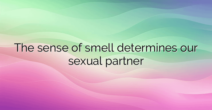 The sense of smell determines our sexual partner