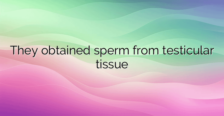 They obtained sperm from testicular tissue