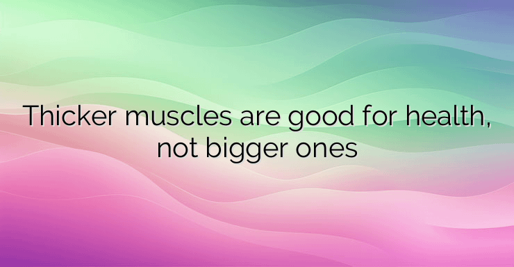 Thicker muscles are good for health, not bigger ones