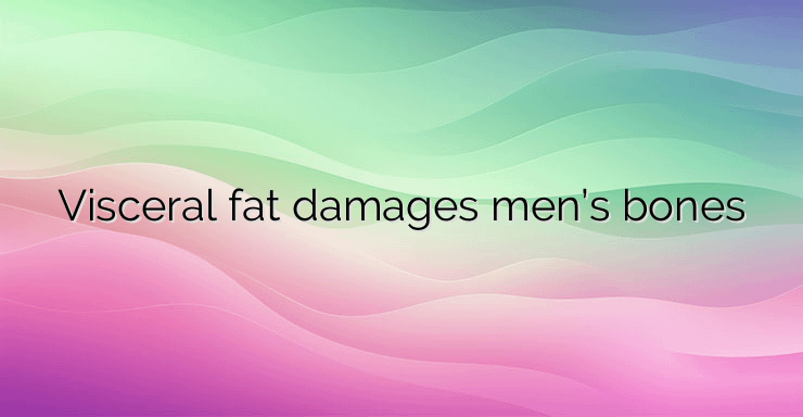 Visceral fat damages men’s bones