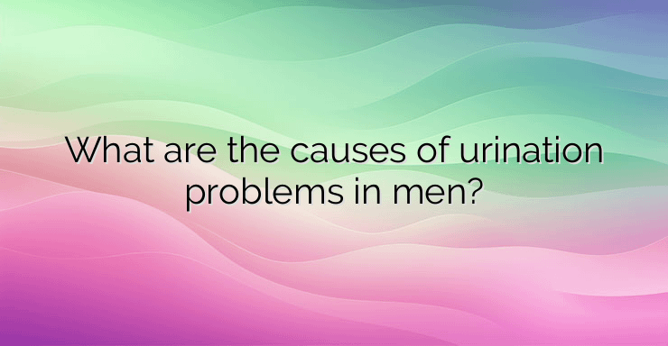 What are the causes of urination problems in men?