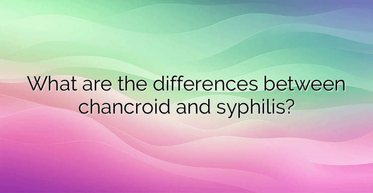 What are the differences between chancroid and syphilis?