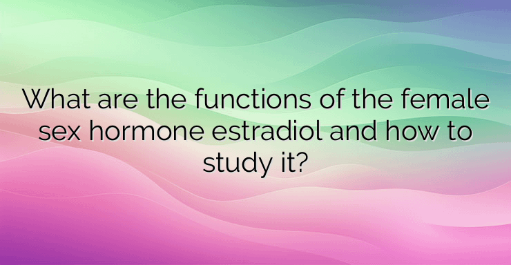 What are the functions of the female sex hormone estradiol and how to study it?