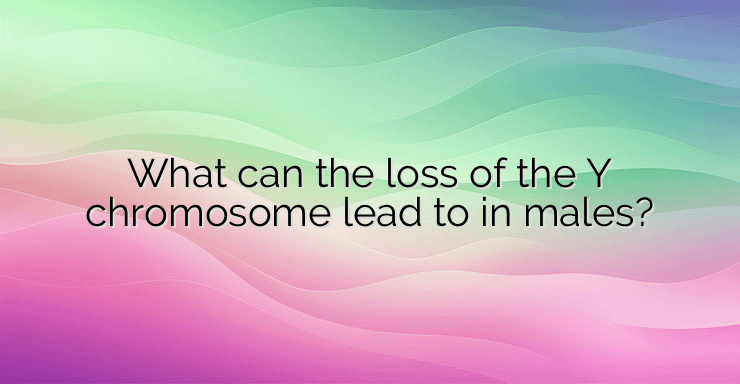 What can the loss of the Y chromosome lead to in males?