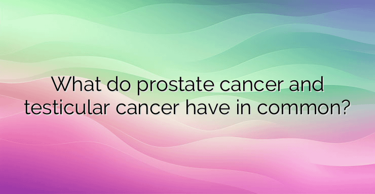 What do prostate cancer and testicular cancer have in common?