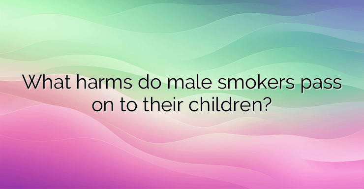 What harms do male smokers pass on to their children?