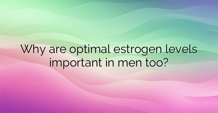 Why are optimal estrogen levels important in men too?