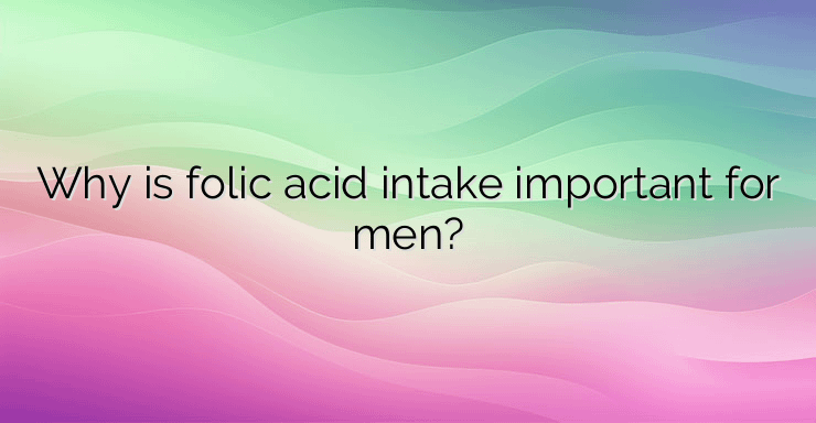 Why is folic acid intake important for men?